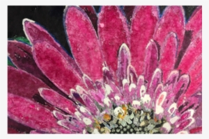 Search Our Site - Protea #2578741