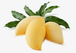 Tasting Mangos All Year Round - Nam Dok Mai Mango Png #2578962