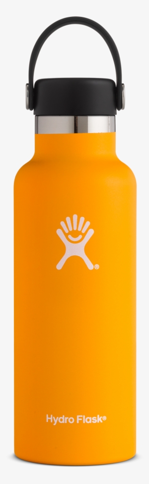 Mango - Hydro Flask 12oz Standard Mouth Insulated Bottle #2579056