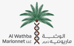 Attalea Speciosa #2579701