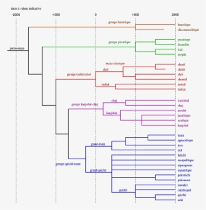 Tree Of Maya Languages - Proto Maya #2580009