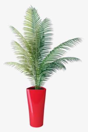 Delta 40 Flower Transparent - Houseplant #2581251