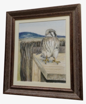 Tamara Sayre Baby Hawk Bird In The Mountains Watercolor #2581900 Tamara Sayre Baby Hawk Bird In The Mountains Watercolor #2581900
