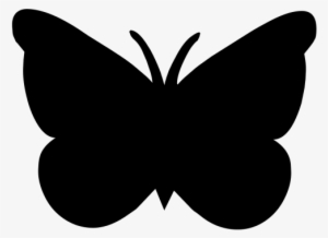 Silueta De Una Mariposa #2582023