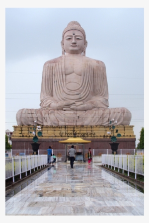 Vishal Buddha Mandir #2582738