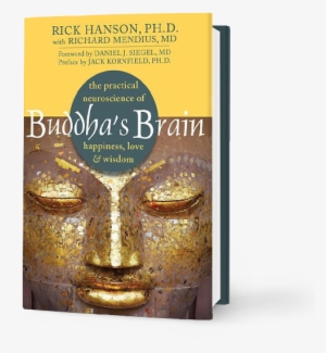 Rick Hanson Buddha's Brain #2582986