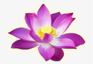 The Way To Practice Meditation And Short Life Story #2583065