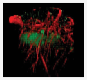 Data Kindly Provided By Dr - Engineer #2583123