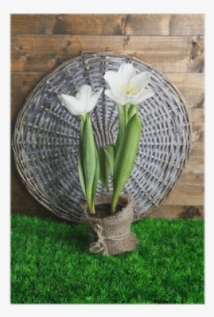 Beautiful Tulips In Pot On Green Grass, On Wooden Background - Lily Of The Valley #2583450