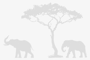 App-right Bg - African Tree #2583870