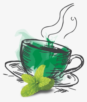 Spearmint Green Tea - Illustration #2585334