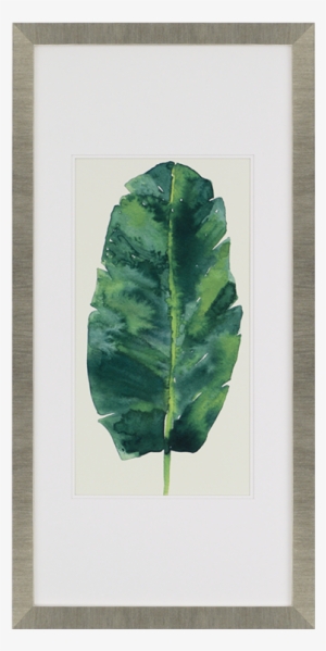 Framed Leaves #2585880