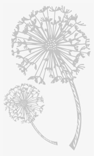 Welcome To Lostclan - Austin #2586774