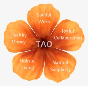 It Takes A Village To Build A Business - Wood Sorrel Family #2586887