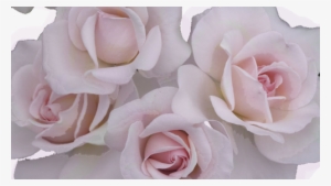 Indie/tribal - Soft Grunge #2586927