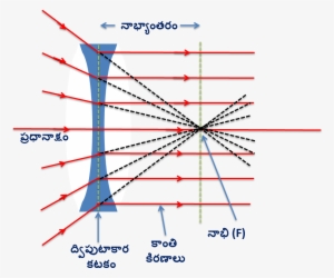 Rays Pass Through Focul Point - Biconcave Linse #2588468