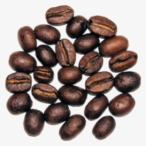 The Cultured Cup® - Seed #2588810