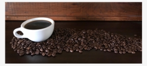 Coffee Beans - Louisiana #2588834