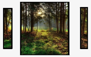 Landscapes Wild Nature Landscape Area Forest Sky Beautiful - Landscape Oil Painting Nature #2590047