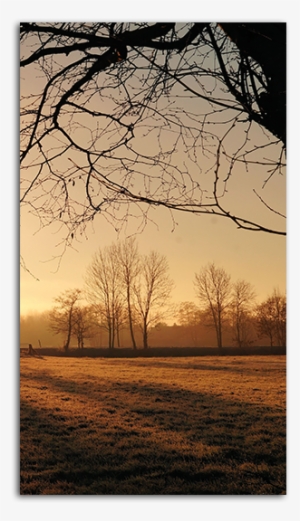 Early Morning Mobile Wallpaper Big - Early Morning Wallpaper Hd #2590264