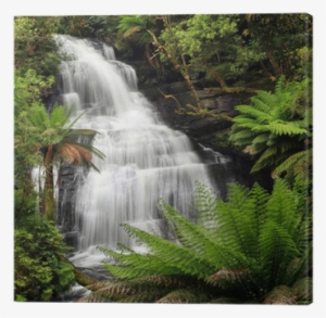 Tropical Wet Green Forest In India #2590306