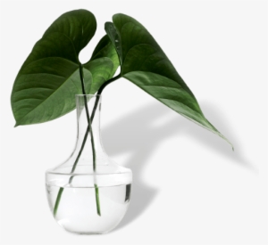 Welcome To The Global Alliance For Prevention And Early - Environmental Cleaning #2590407