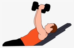 Gymnastics, Gym, Heavy, Gymnasium, Training, Workout - Beginner Weight Lifting #2590528