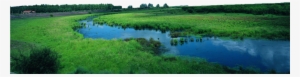 Water River Png - Field Forest Transparent #2590857