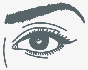 Eyebrow #2591391