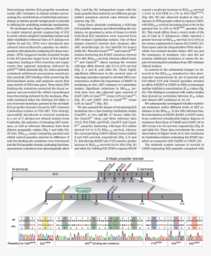 Genetic Modification Of The K13 Propeller Domain - Mutation #2591713