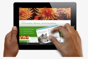 The - Interactive Ibooks #2591843