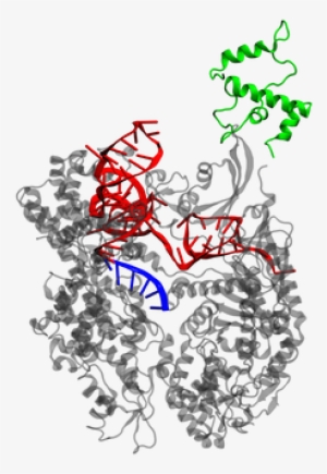 Epf Lausanne Parts Dcas9 W Registry - École Polytechnique Fédérale De Lausanne #2592012