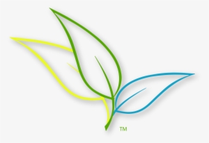 High Quality Version - Leaves #2592961