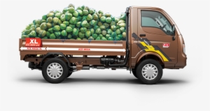 Tata Motors Mega Xl #2593284