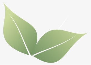 Leaf For Free Download On Mbtskoudsalg - Leaf Clipart #2593307 Leaf For Free Download On Mbtskoudsalg - Leaf Clipart #2593307