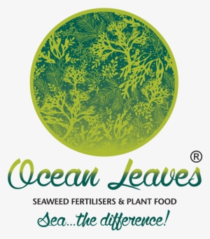 Ocean Leaves Logo - Wedding Invitation #2593333