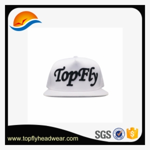 Hip Hop 5 Panel Hat, Hip Hop 5 Panel Hat Suppliers - Baseball Cap #2593531