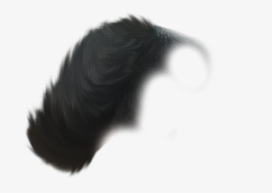 Hair Png - Hair #2593580