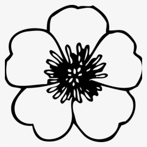 Flower Free Cat Hatenylo Com Sunflower Clip - Flowers Png Black And White #2593692