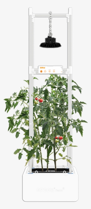 Required Fields * - Growtank #2594126