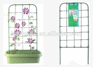 Metal Plant Climbing Support - Shelf #2594161