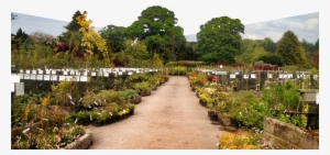 Our Aim - Botanical Garden #2594334