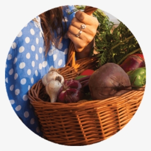 Basket Of Vegetables - Farmers' Market #2595675