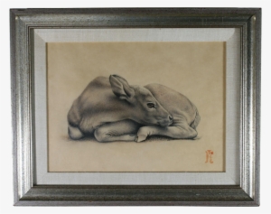Carolyn Moorehead Edmundson Pencil Graphite Drawing - Drawing #2595748