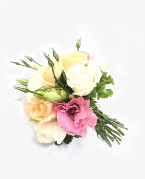 Who We Are - Hybrid Tea Rose #2596486