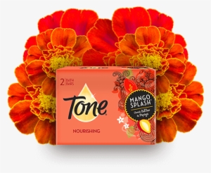 Tone Mango Splash Cocoa Butter Soap, 4.25 Oz, 2 Count #2596944