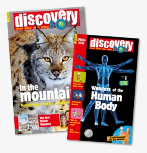 Ages 8-12 - Wild Cats #2598639