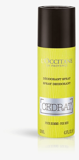 20do130cd17 - Cedrat Spray Deodorant 130ml L'occitane #2599586