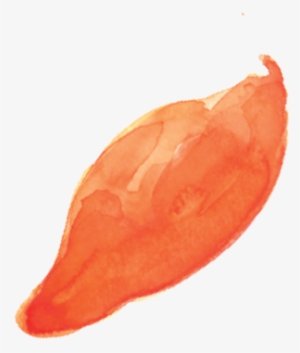 Sweet Potato #260738