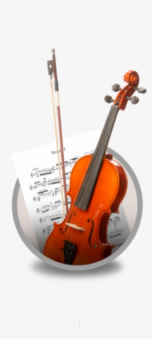 Untitled Document - - Viola #260804